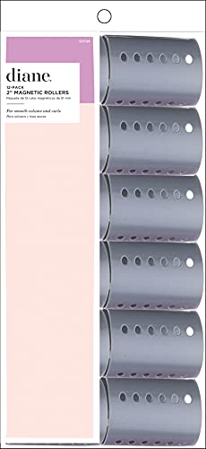 Diane Magnetic Roller, Grey 2 Inch, 12 Count