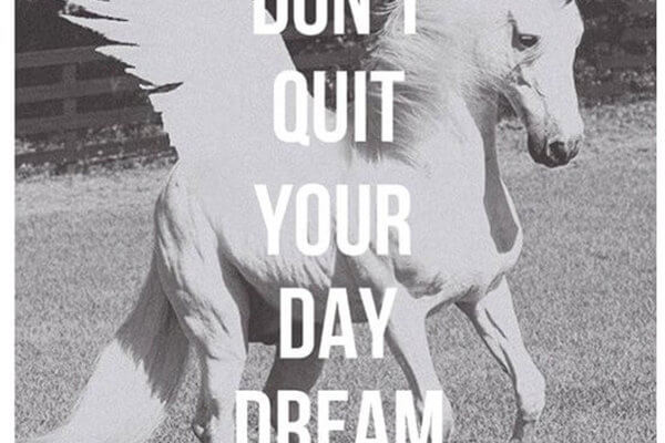 dont quit day dream