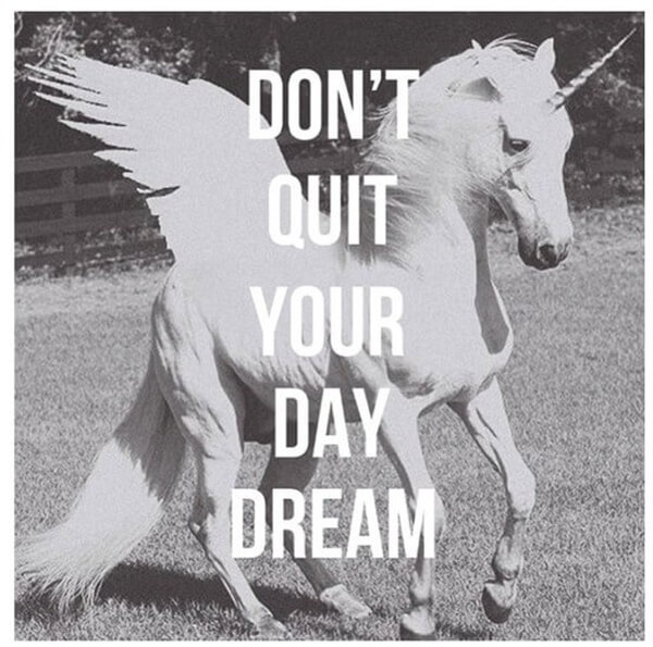 dont quit day dream