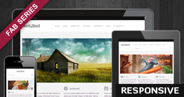 orion responsive theme