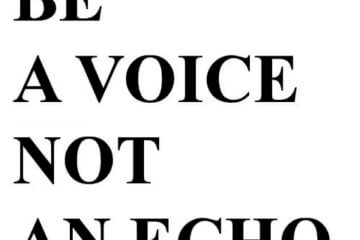 voice not echo