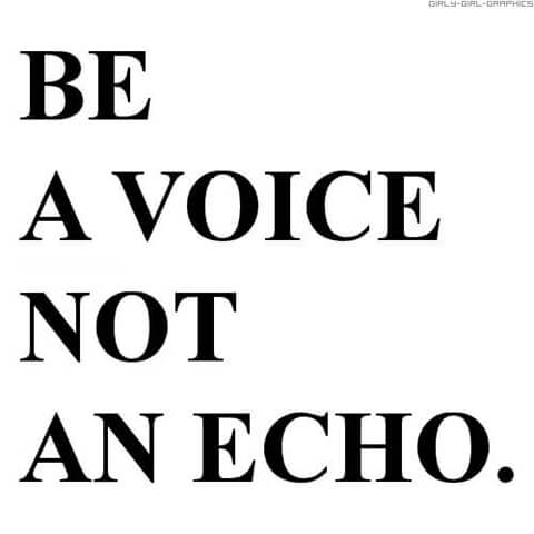 voice not echo