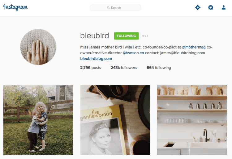 bleubird instagram