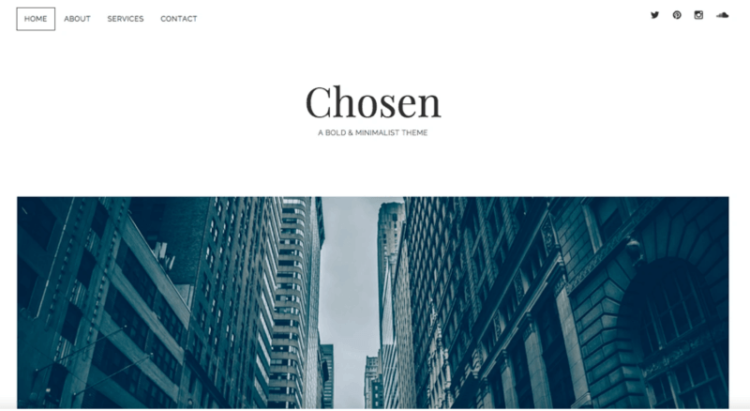 Chosen WordPress Theme Preview