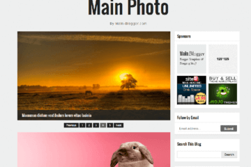 main photo responsive theme