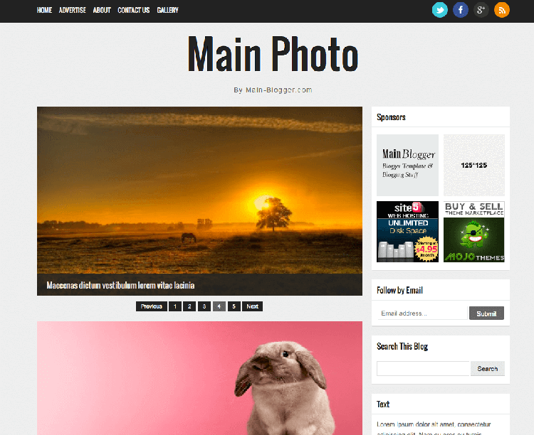 main photo responsive theme