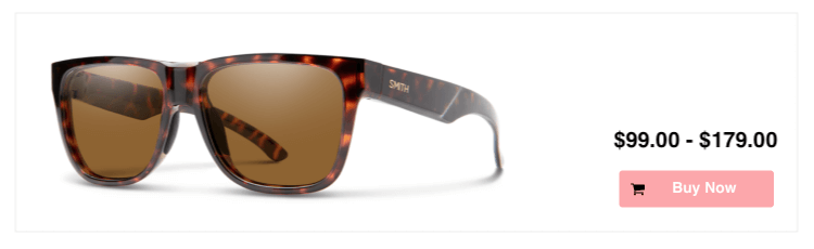 Smith Lowdown 2 Sunglasses