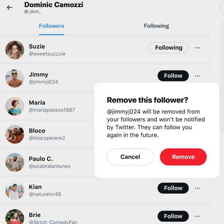 a screenshot illustrating how to remove followers on twitter
link