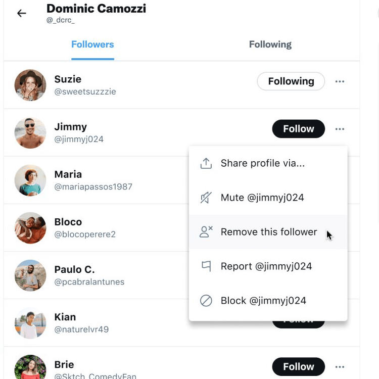 a screenshot showing how to remove a follower on Twitter
link